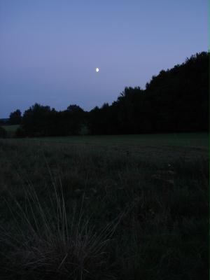 abendspaziergang 4